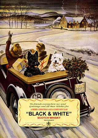 Black & White Whisky by  anon